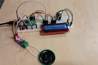 Birders' Cuckoo Clock