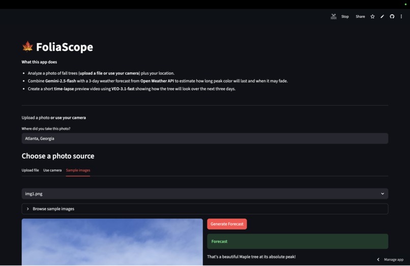 FoliaScope – screenshot 1