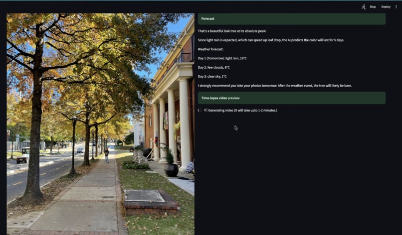 FoliaScope – screenshot 2