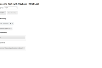 Multilingual Conversation Partner
