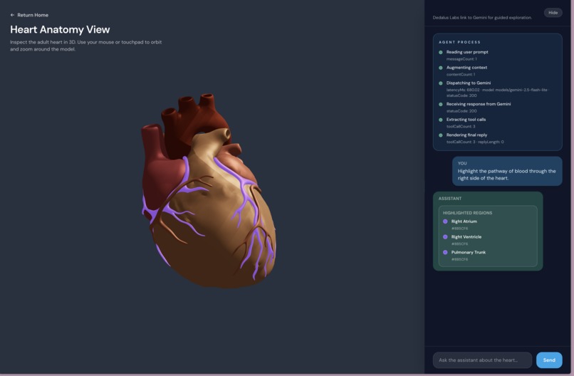 Medverse – screenshot 1