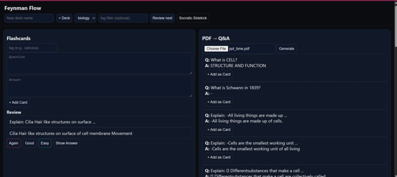 Feynman Flow – screenshot 1