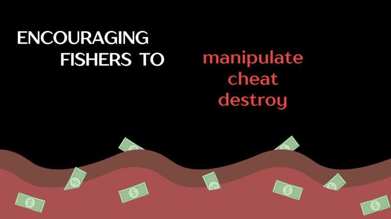 Nautilink – screenshot 5