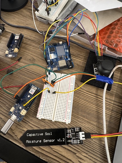 Life Alive – screenshot 4