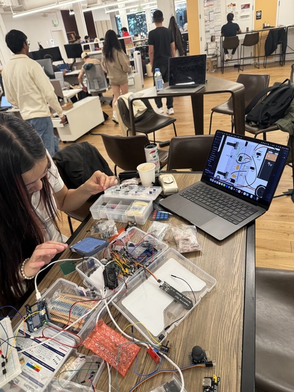 Life Alive – screenshot 5