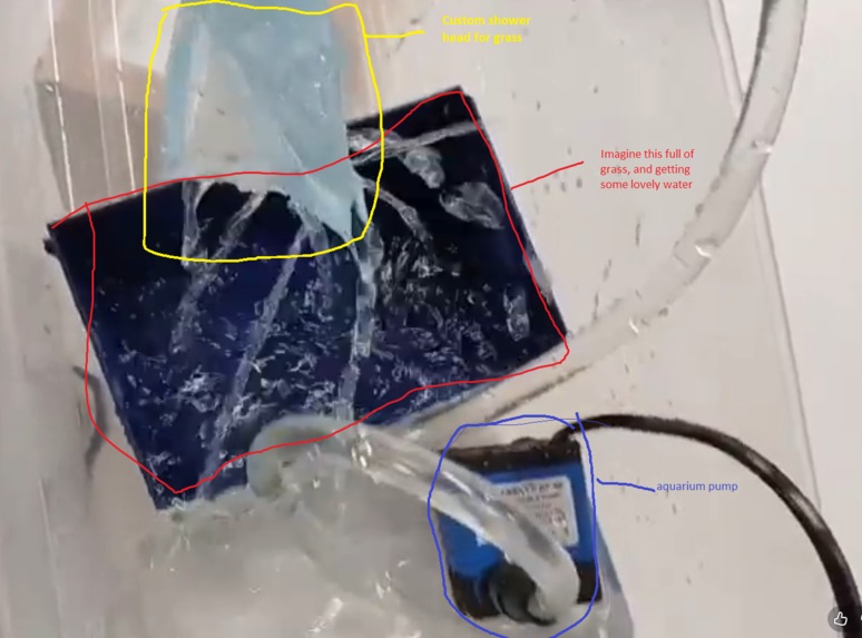 Touch Grass – screenshot 2