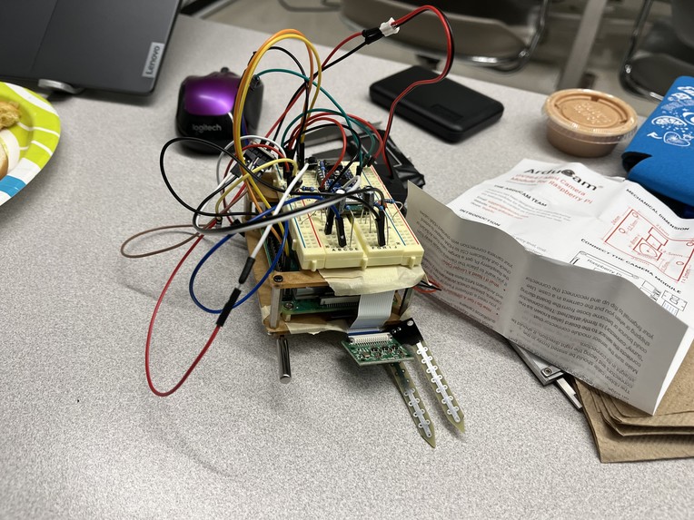 Roach Buster – screenshot 2