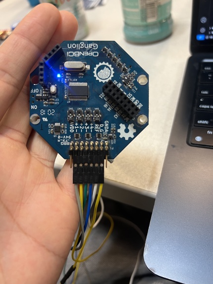 Neuropoly – screenshot 3