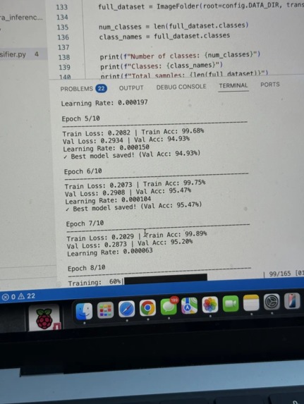 P-CuT – screenshot 4