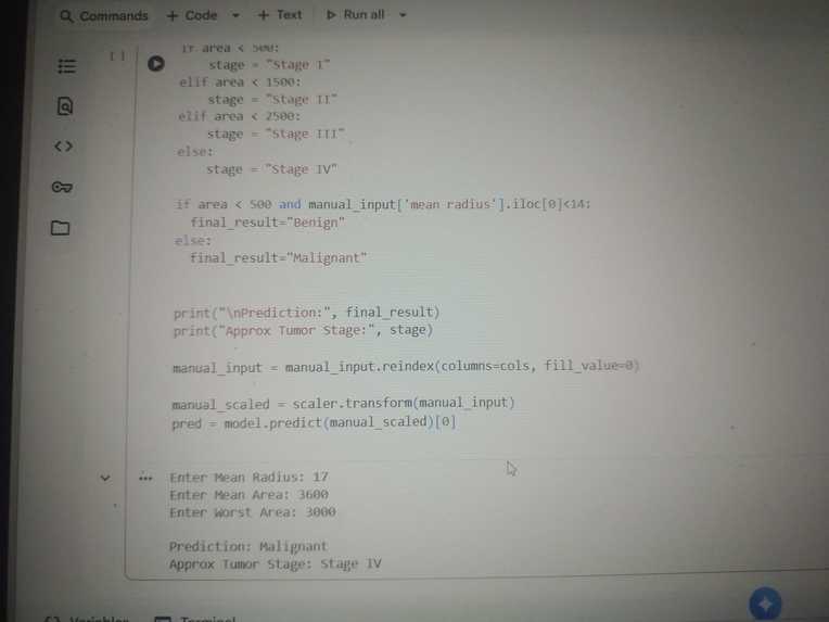  AI-Based Breast Cancer Detection System – screenshot 2