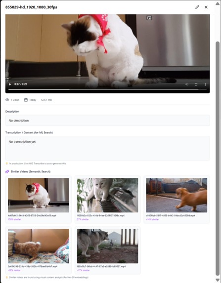 Video Index – screenshot 3
