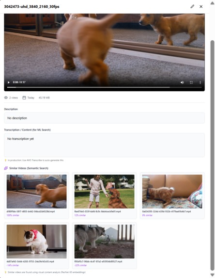 Video Index – screenshot 4