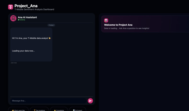 Project_Ana – screenshot 1