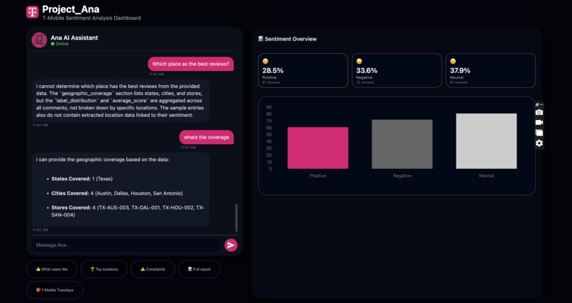 Project_Ana – screenshot 2