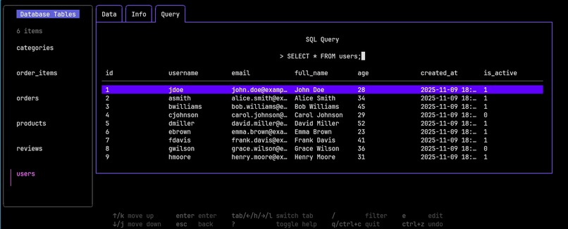 dbtui – screenshot 4
