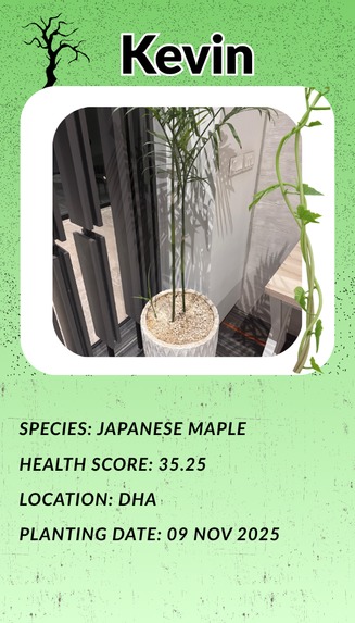 Petri – screenshot 10