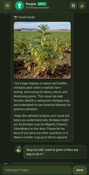 Pungde – screenshot 4