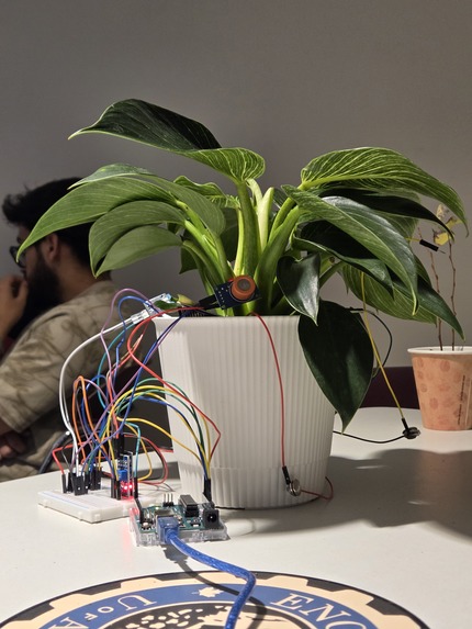 Plantagotchi – screenshot 1
