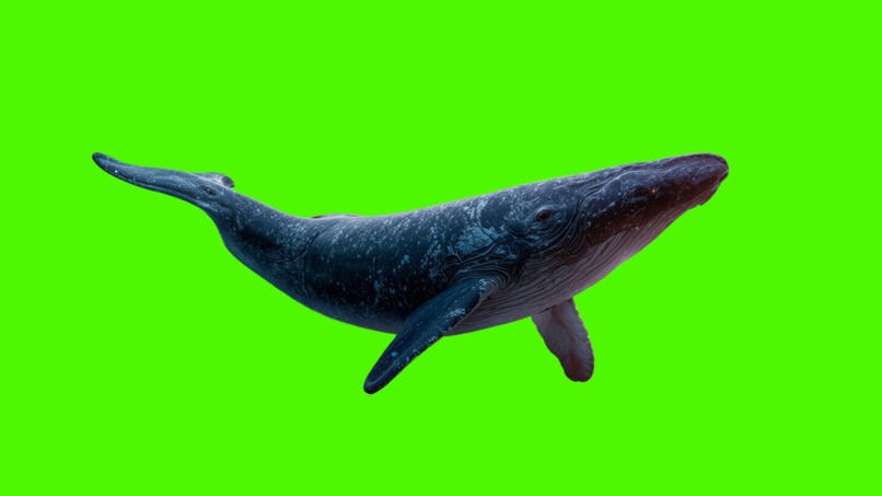 What ChatGPT Imagines a Space Whale Would Think – screenshot 1
