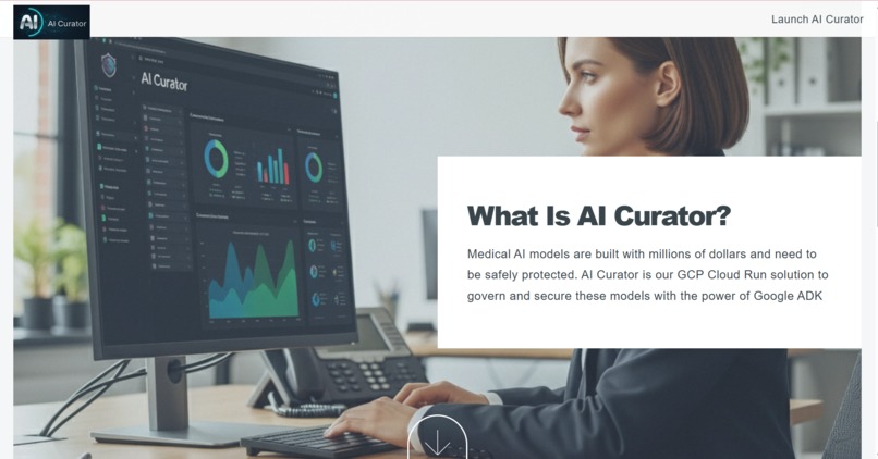 AI Curator for Medical Privacy/Security – screenshot 1