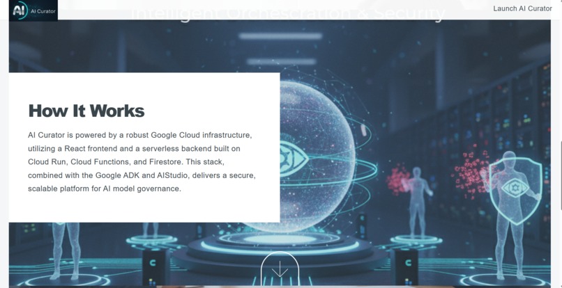 AI Curator for Medical Privacy/Security – screenshot 4