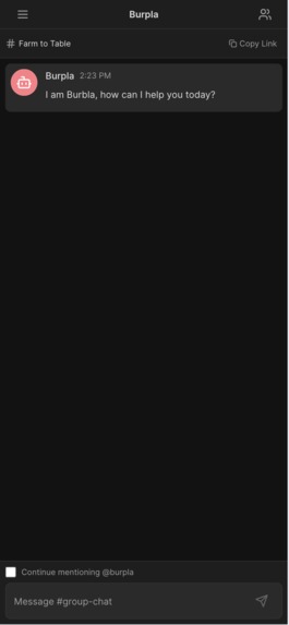 Burpla – screenshot 4