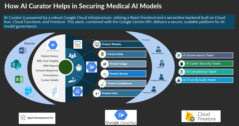 AI Curator for Medical Privacy/Security – screenshot 3