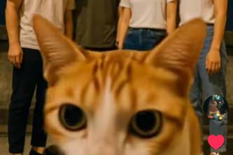 The Cat Who Crashed the Selfie | Devpost