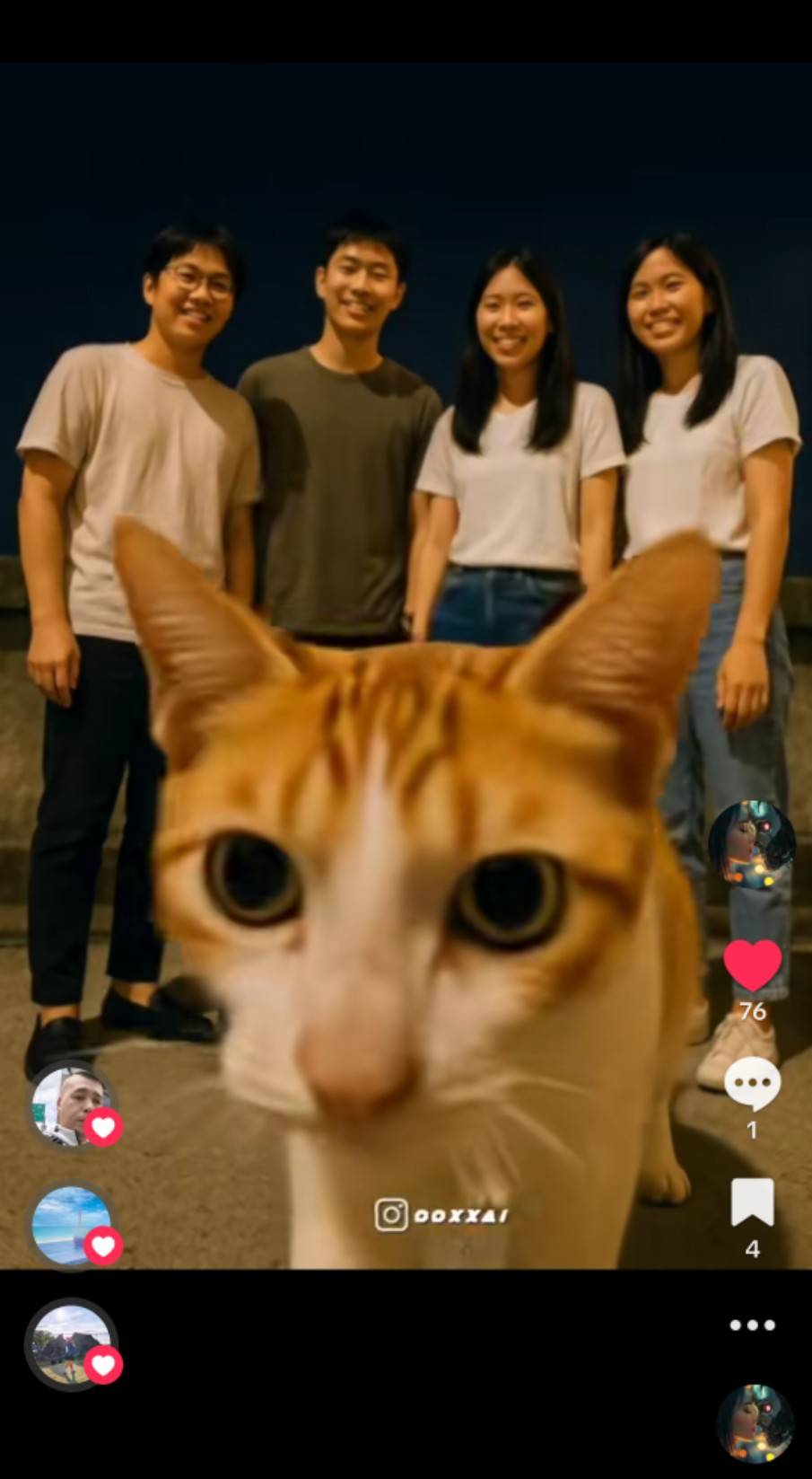 The Cat Who Crashed the Selfie | Devpost