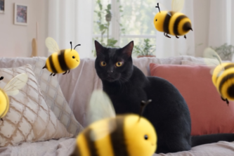 Bees