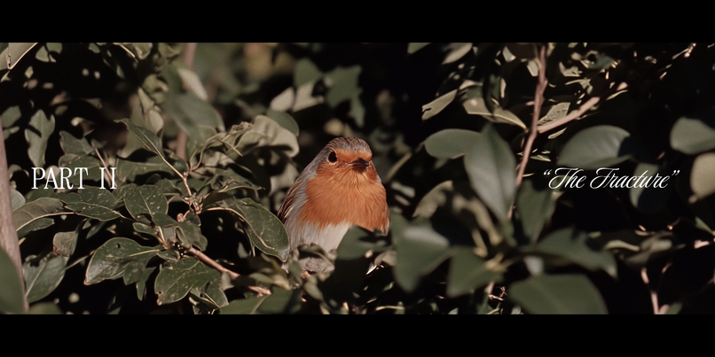 Gentle – screenshot 4