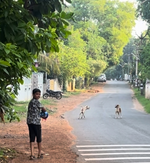 DEVICE TO STOP HUMAN ANIMAL CONFLICT – screenshot 5