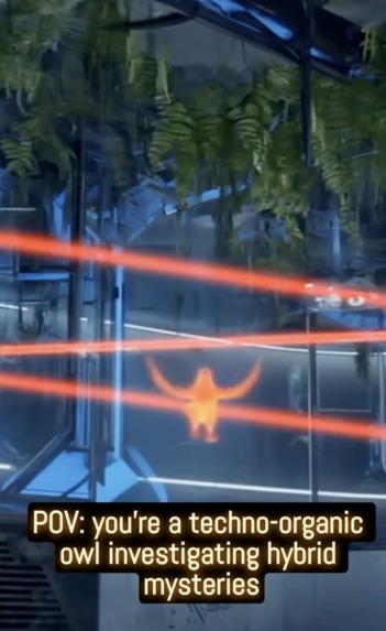 Chasing Hawk – screenshot 1