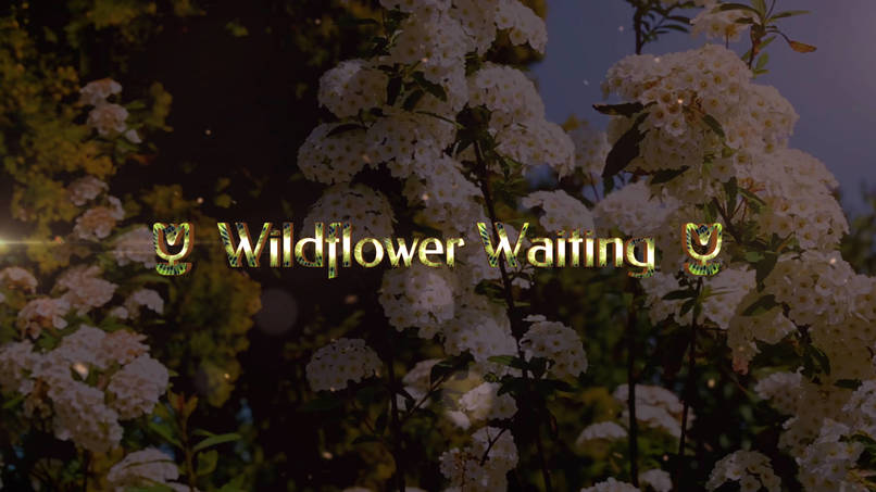 Wildflower Waiting – screenshot 2