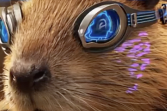 Beaver Design - RZ Wanderer Crew