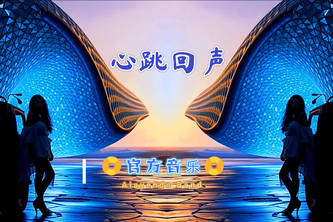 心跳回声