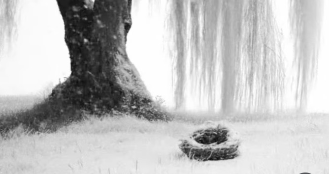 Memory ( The autumn wind ) – screenshot 1