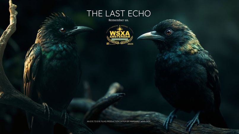 The Last Echo – screenshot 1
