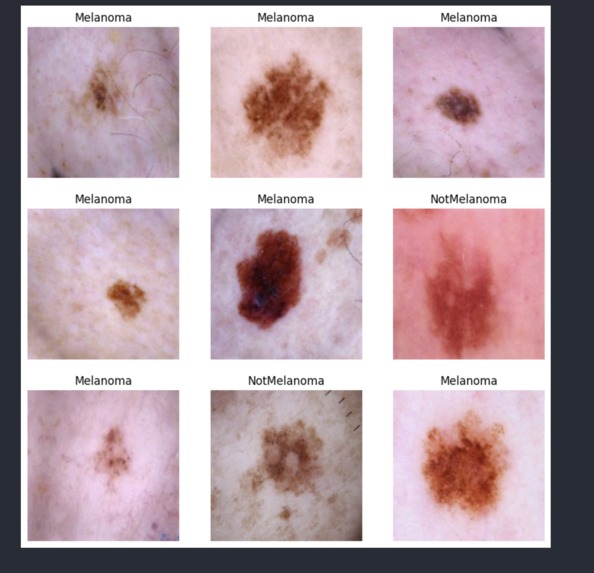 DermaAid – screenshot 4