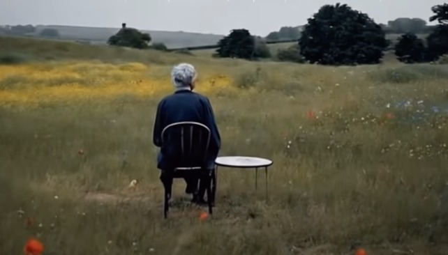 Silent Among the Poppies – screenshot 1