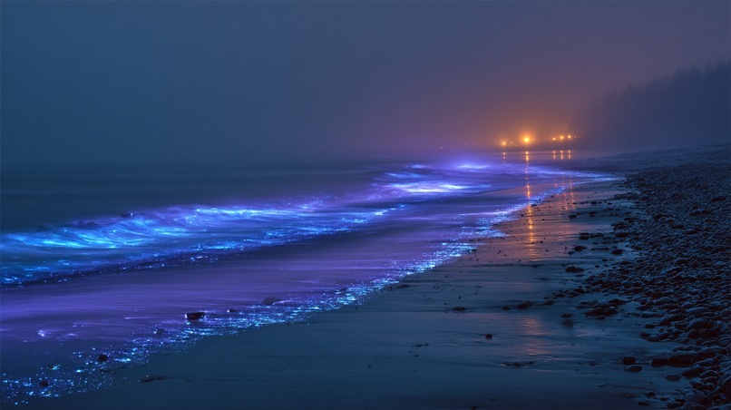 Umwelt Drift – screenshot 3