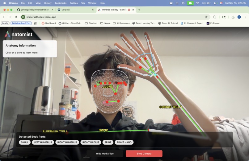 Anatomist – screenshot 2