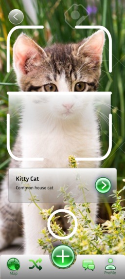 Critter Watch – screenshot 2