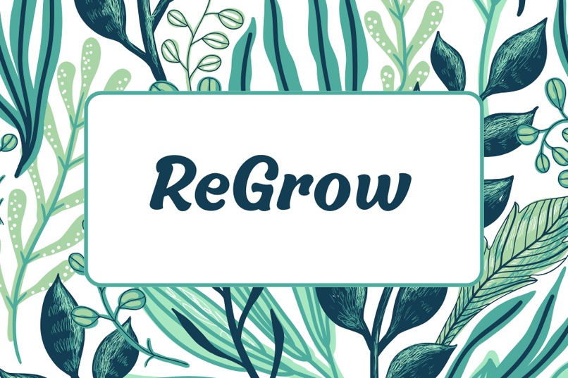 ReGrow – screenshot 1