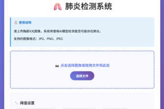 基于Vision Mamba (Vim) 深度学习模型的胸部X光肺炎检测系统