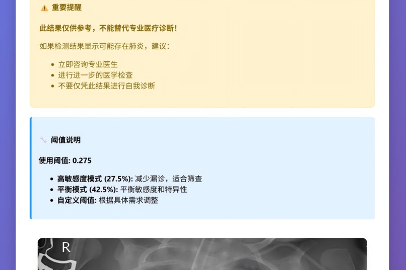 基于Vision Mamba (Vim) 深度学习模型的胸部X光肺炎检测系统 – screenshot 4