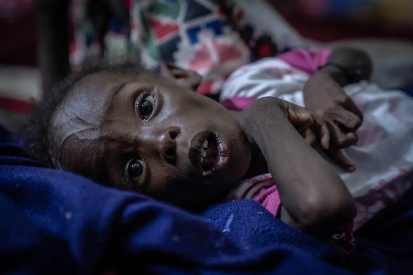 Sudan's Genocide News Letter – screenshot 2