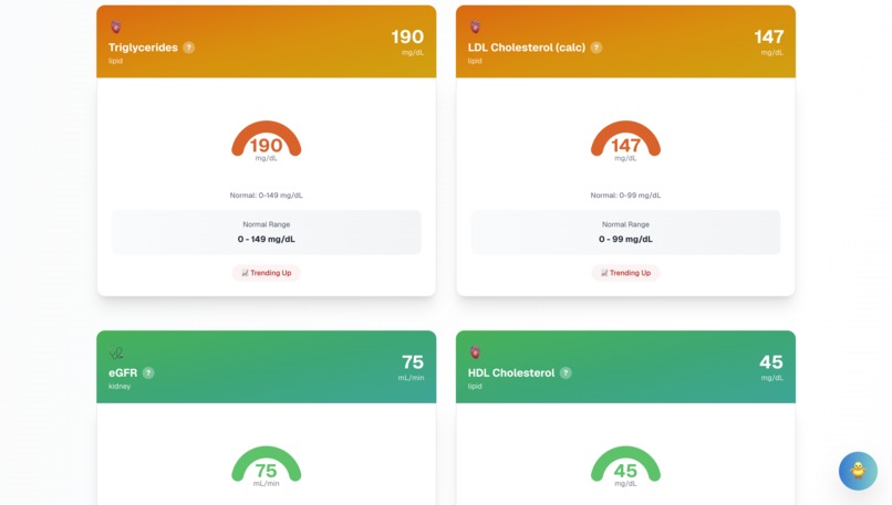 VitalViewAI – screenshot 5
