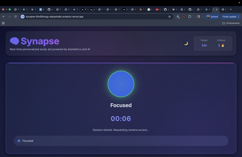 Synapse – screenshot 2