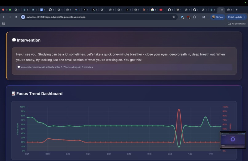 Synapse – screenshot 14